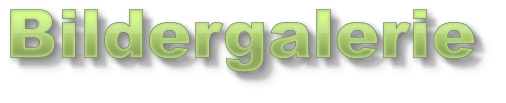 Bildergalerie Bildergalerie Bildergalerie